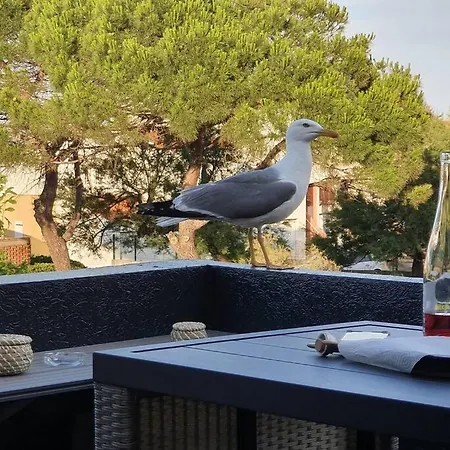 La Roquille, Port Lano, Appart 8 Personnes * Agde